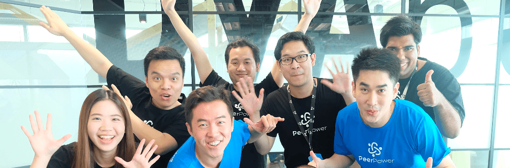 PeerPower cover
