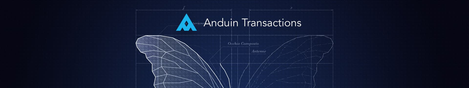 ANDUIN TRANSACTIONS cover