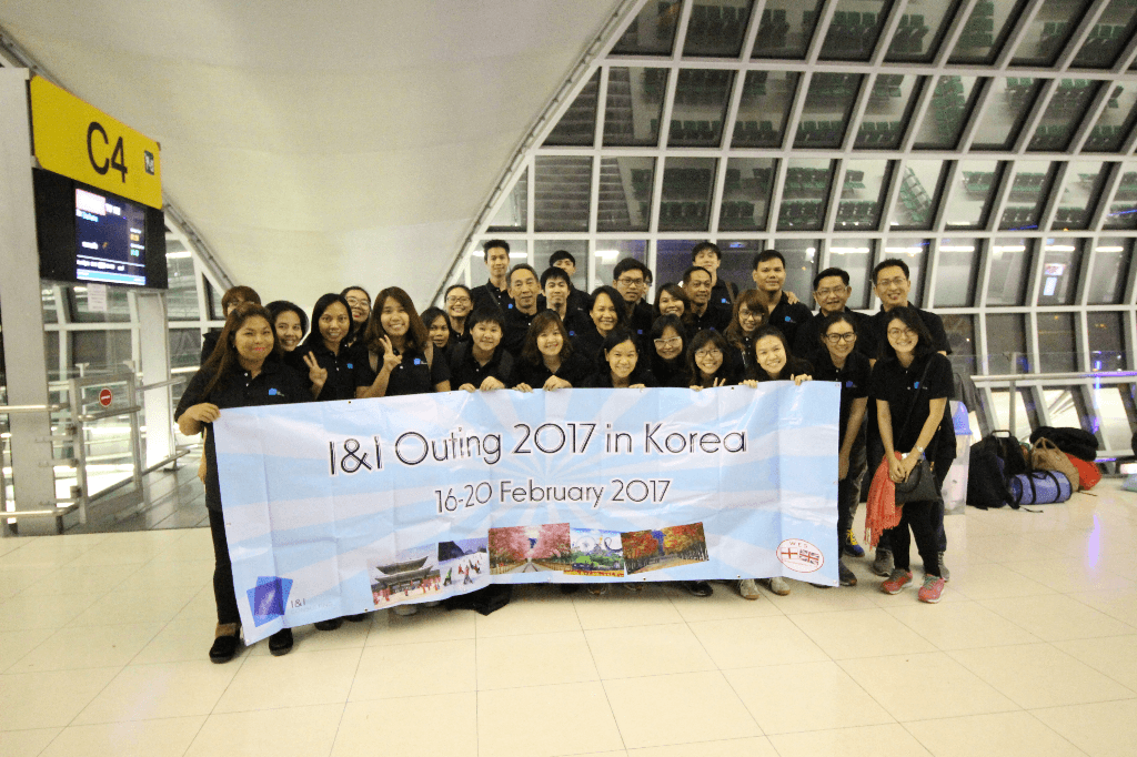 I&I Consulting cover