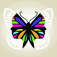Butterfly Hub