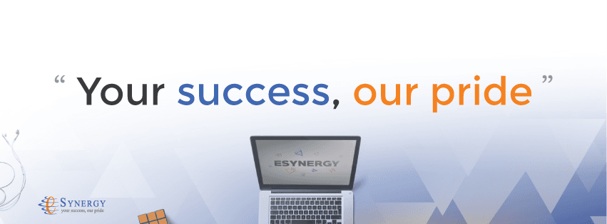 e-Synergy(Thailand) cover