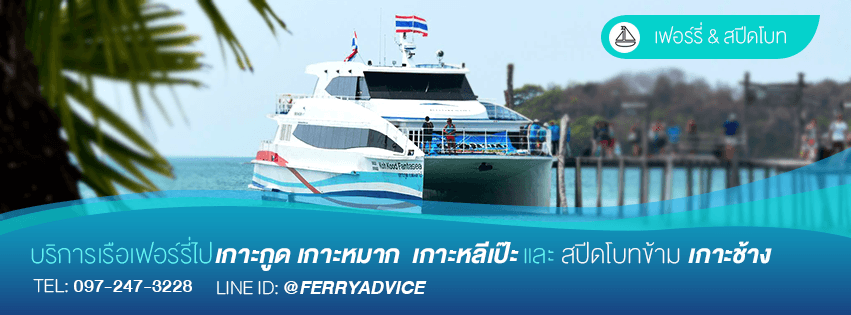 FERRY ADVICE cover